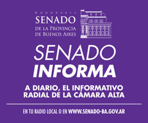 Senado_Informa3