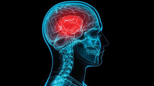 neuronas-vinculadas-a-la-obesidad_reference.jpg