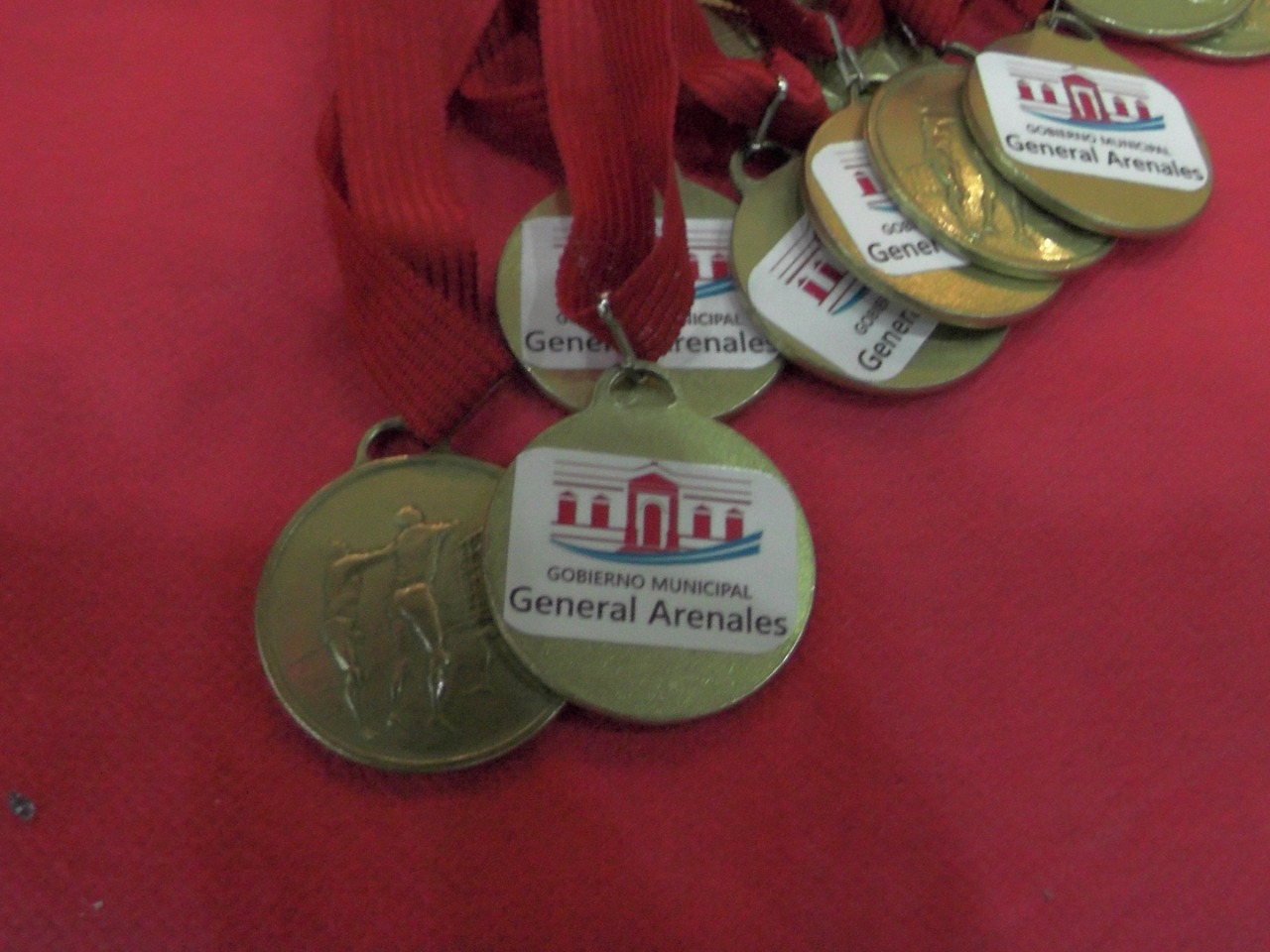 finalvoley-newcom (10)
