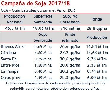 Soja-1.jpg