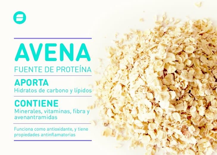 Avena, una aliada en el desayuno para una dieta saludable y nutritiva