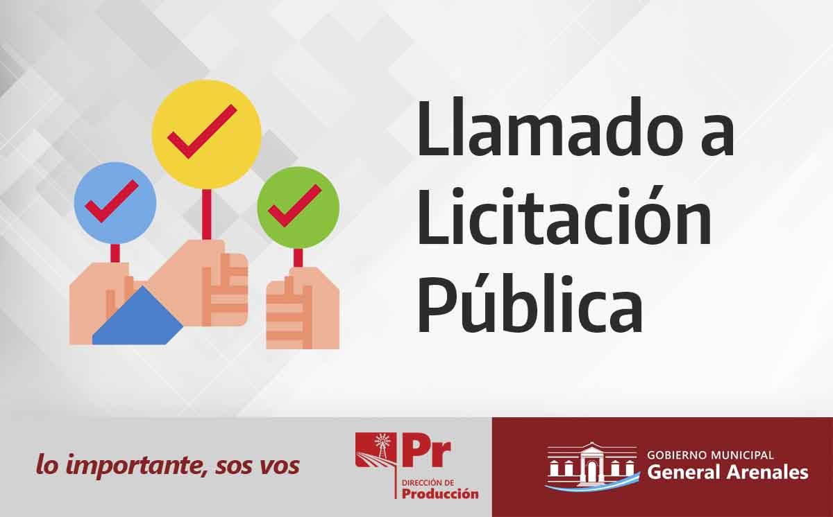 Licitación Publica