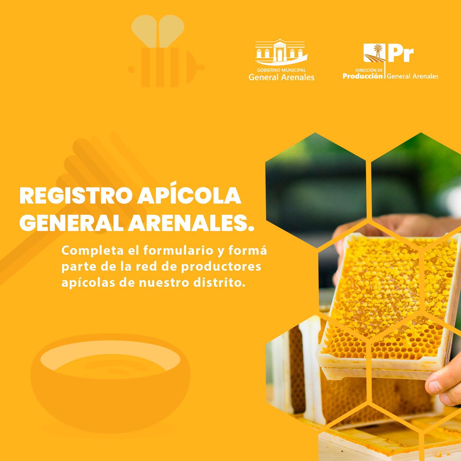 registro apicola