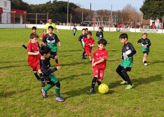 infe 17 (4)