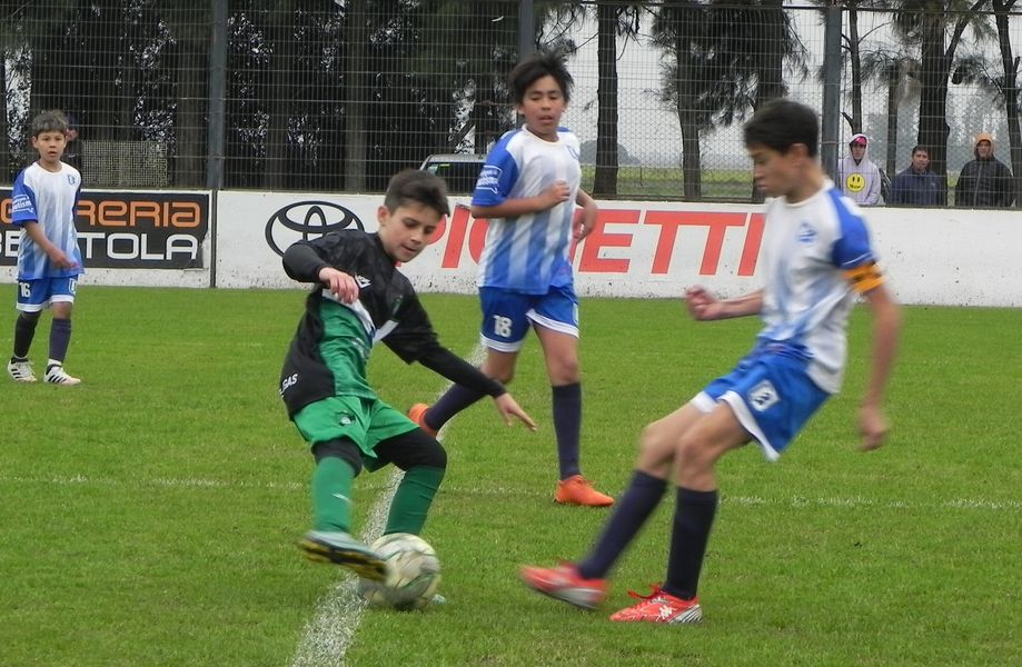 inferiores social belgrano (1)