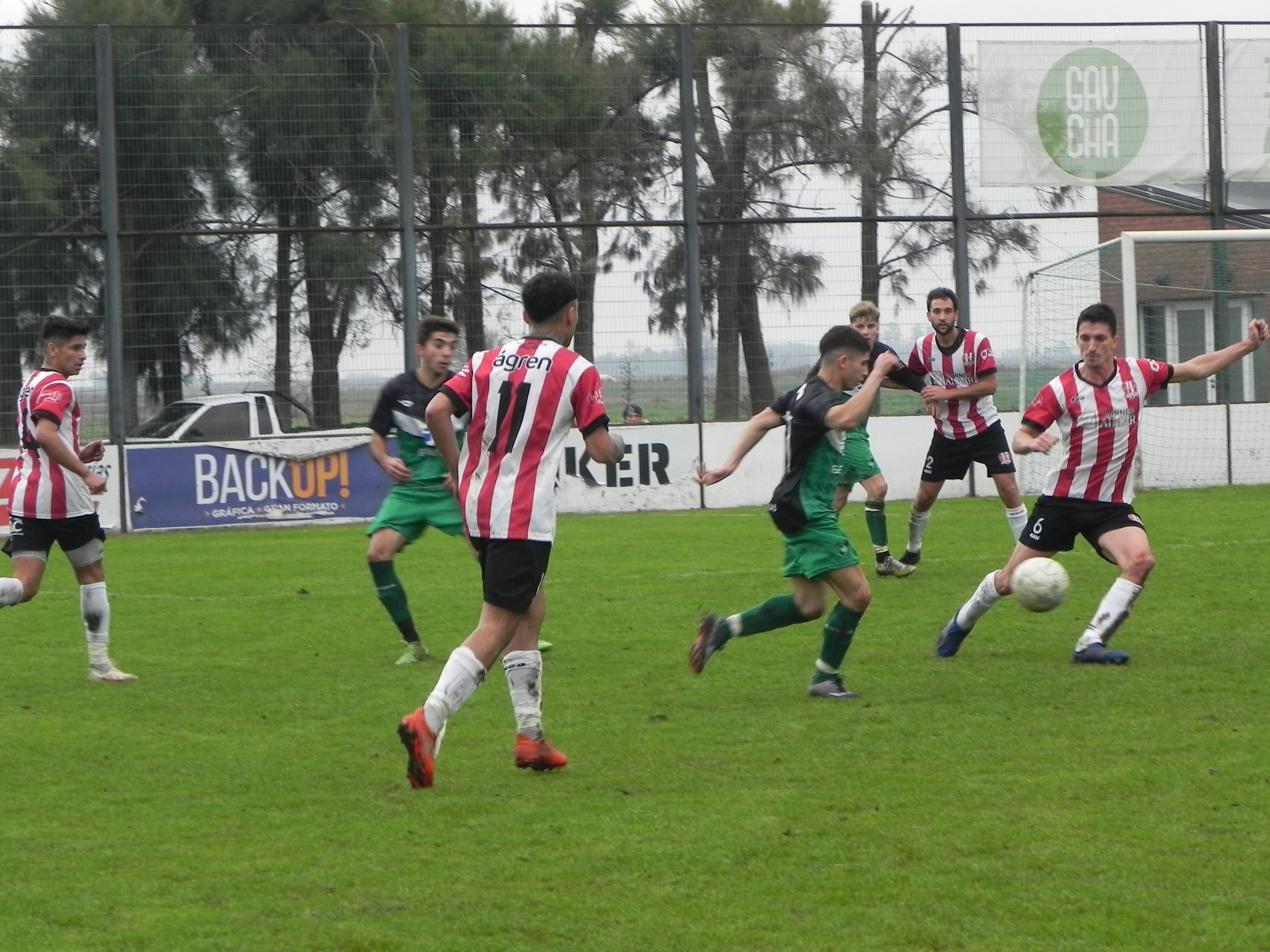 social colo (2)