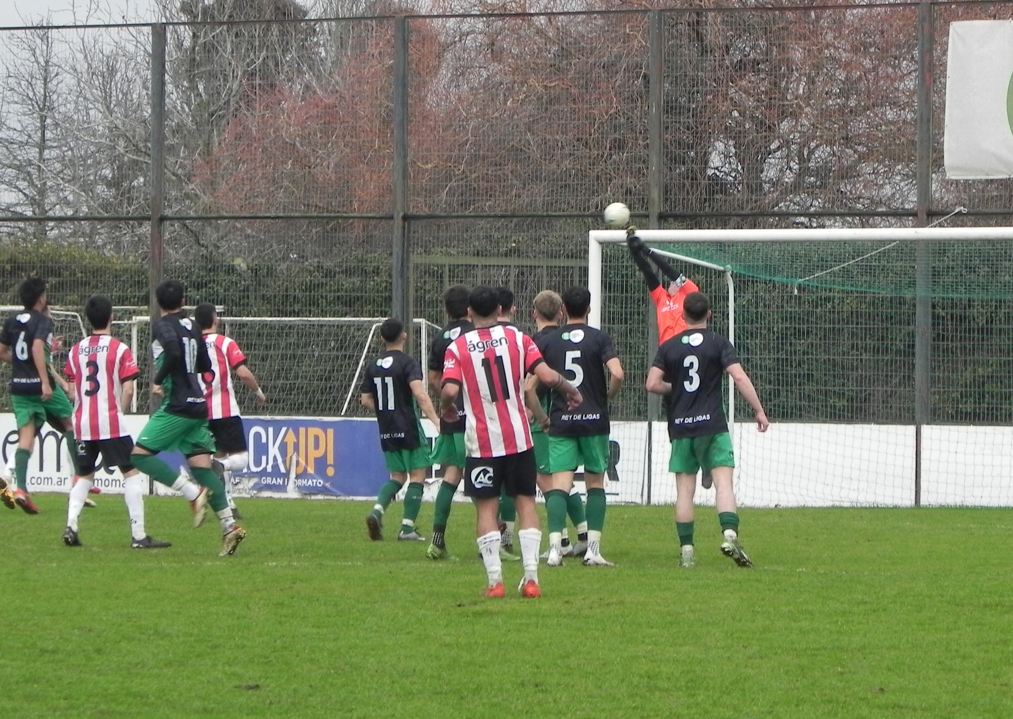 social colo (3)