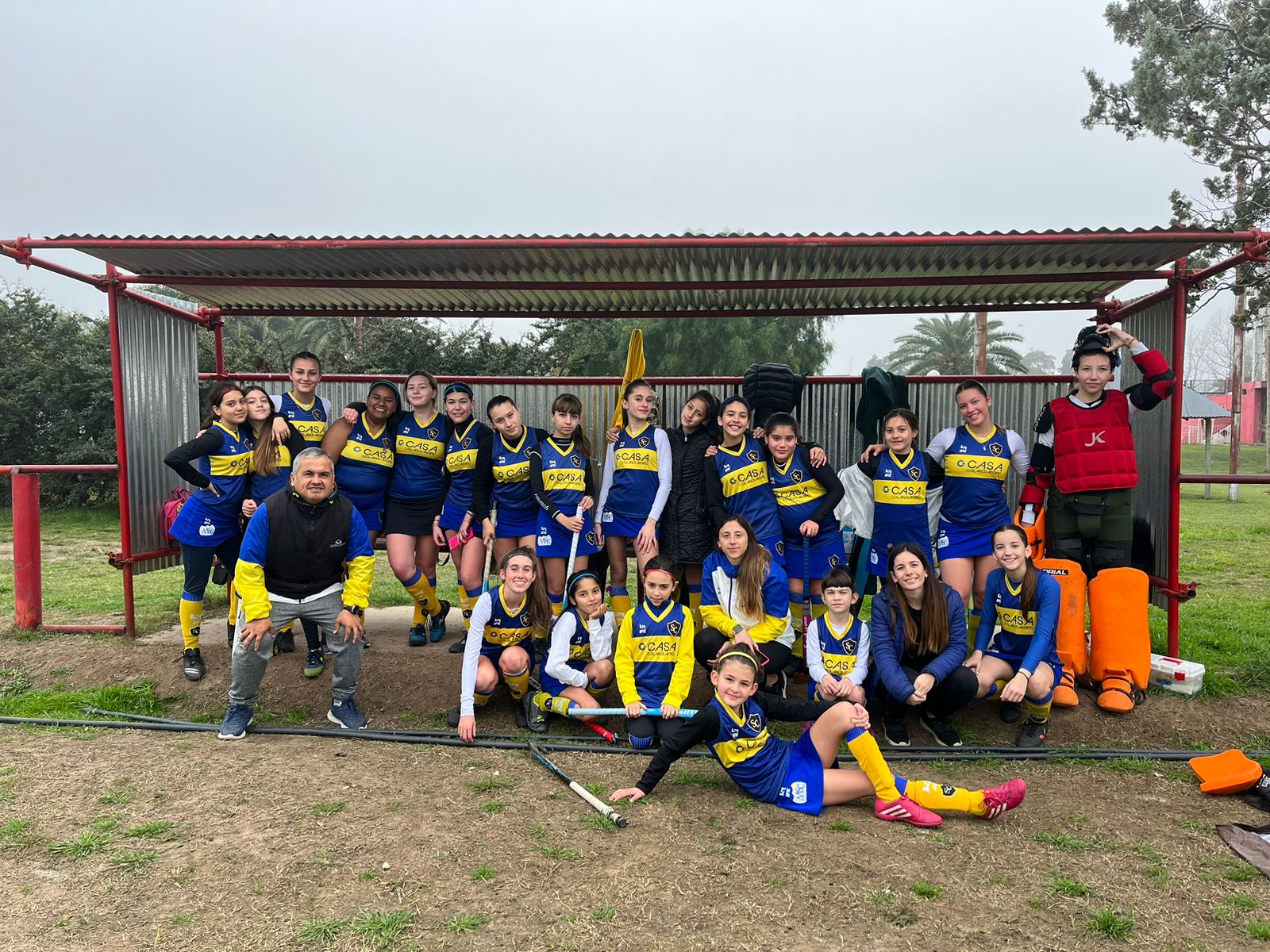 hockey singlar