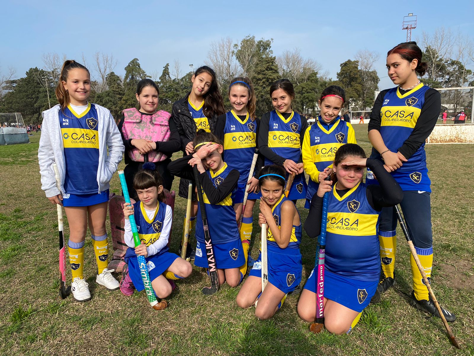 hockey singlar2