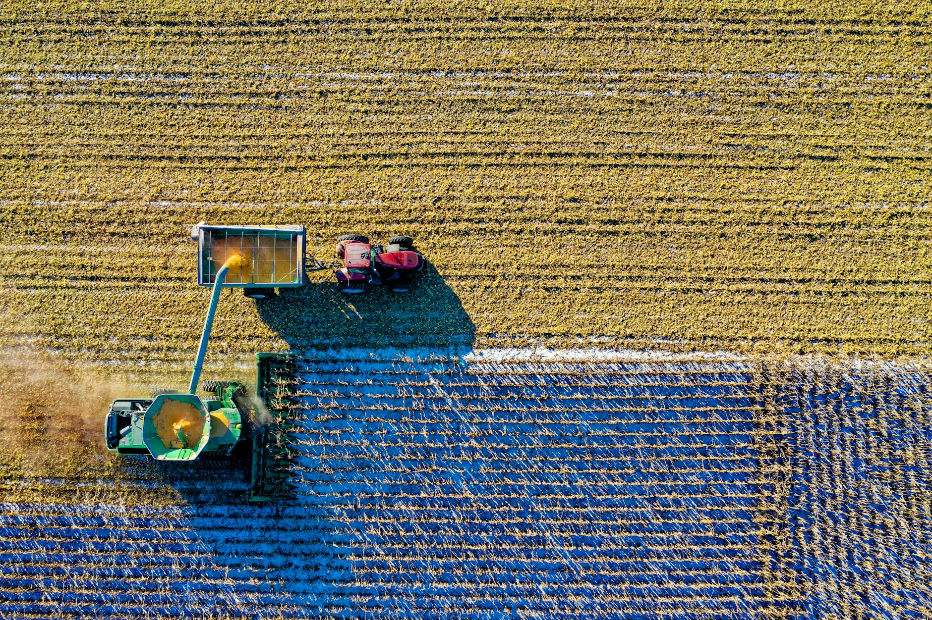 Cosecha 2024: Perspectivas y desafíos climáticos en la región top view of green field